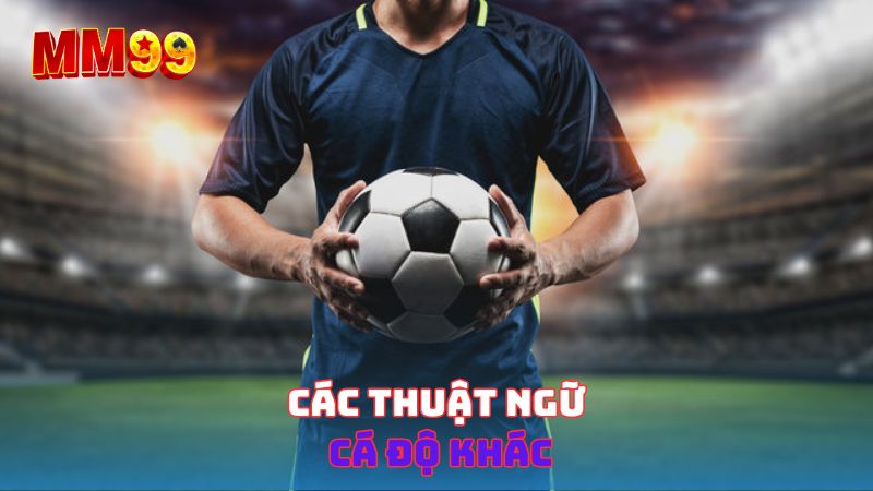 Các thuật ngữ cá độ khác